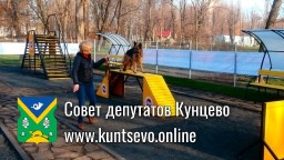 Депутаты провели публичные обсуждения строительства площадки для выгула собак