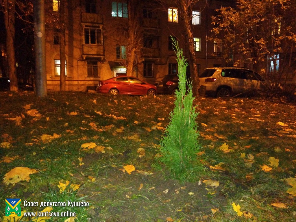 Провели посадки деревьев и кустарников в районе. 0