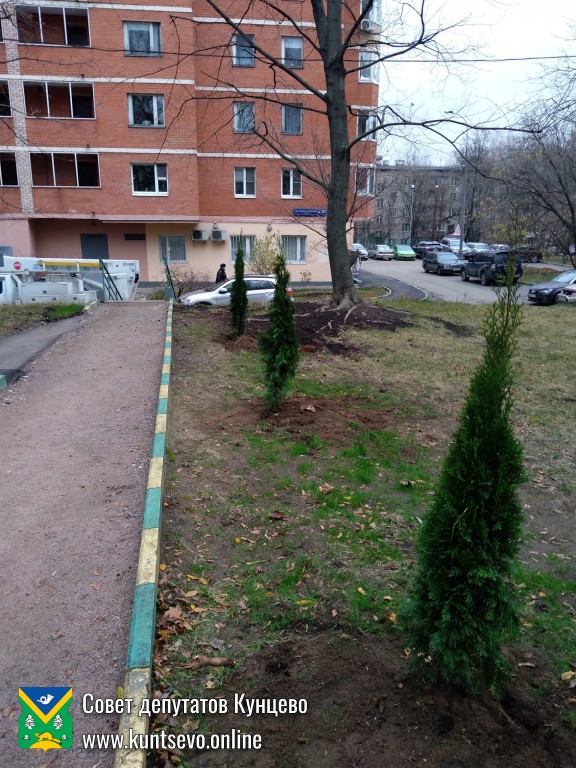 Провели посадки деревьев и кустарников в районе. 7