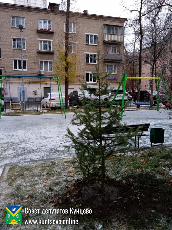 Провели посадки деревьев и кустарников в районе. 1