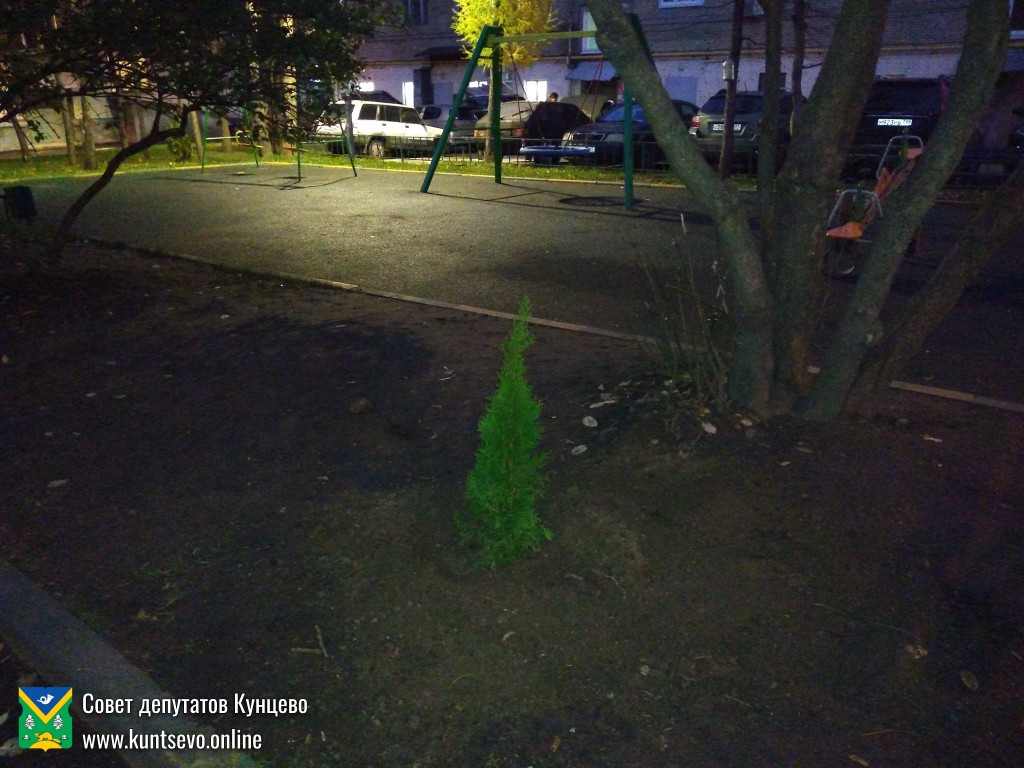 Провели посадки деревьев и кустарников в районе. 12