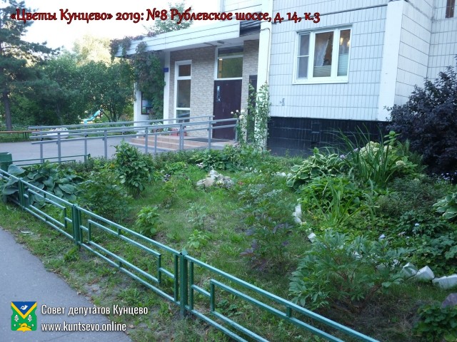 В Кунцево впервые прошёл конкурс палисадников "Цветы Кунцево" 20