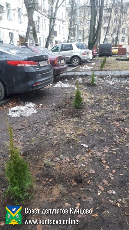 Провели посадки деревьев и кустарников в районе. 5