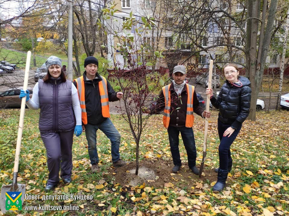 ​Программа по озеленению Кунцево утверждена! 2