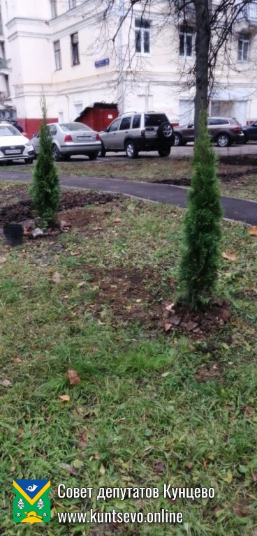Провели посадки деревьев и кустарников в районе. 4