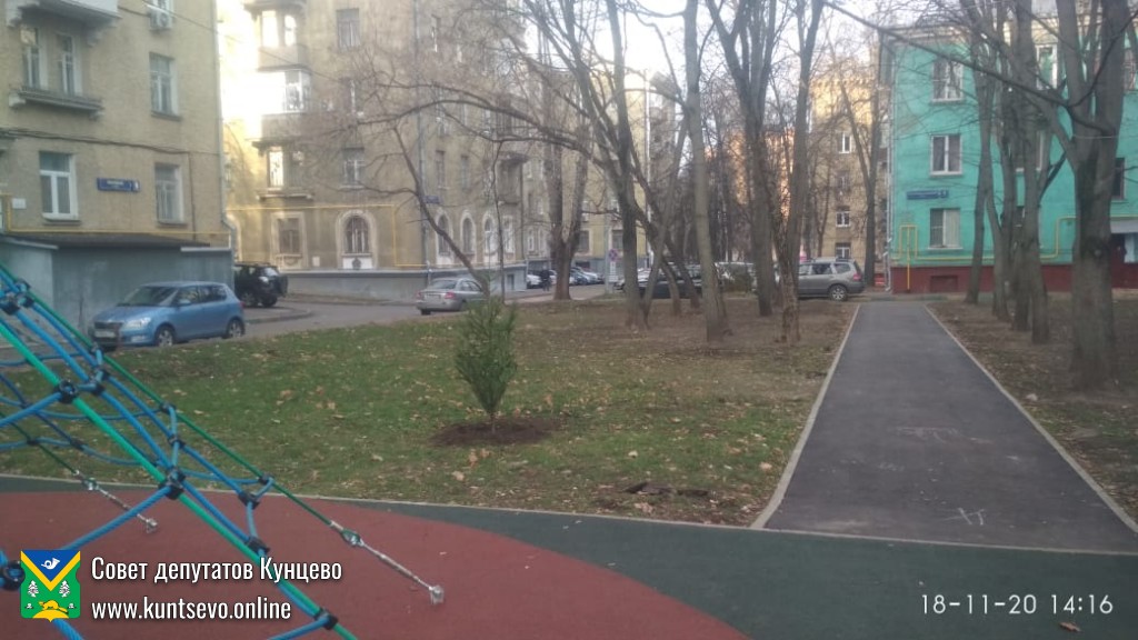 Провели посадки деревьев и кустарников в районе. 11