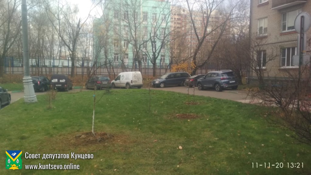 Провели посадки деревьев и кустарников в районе. 3