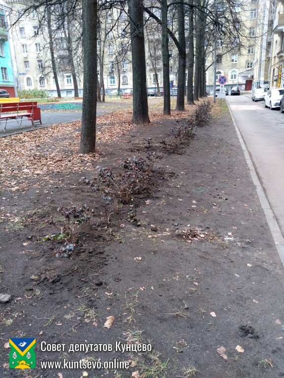 Провели посадки деревьев и кустарников в районе. 13