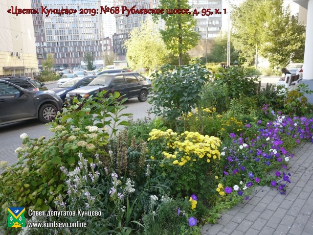 В Кунцево впервые прошёл конкурс палисадников "Цветы Кунцево" 18