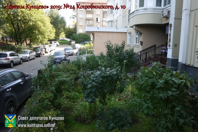 В Кунцево впервые прошёл конкурс палисадников "Цветы Кунцево" 0