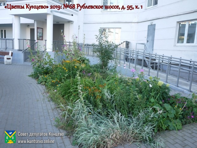 В Кунцево впервые прошёл конкурс палисадников "Цветы Кунцево" 19