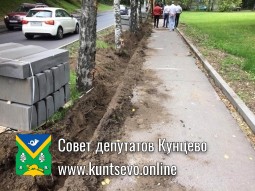 При благоустройстве на Обводном шоссе повреждены деревья