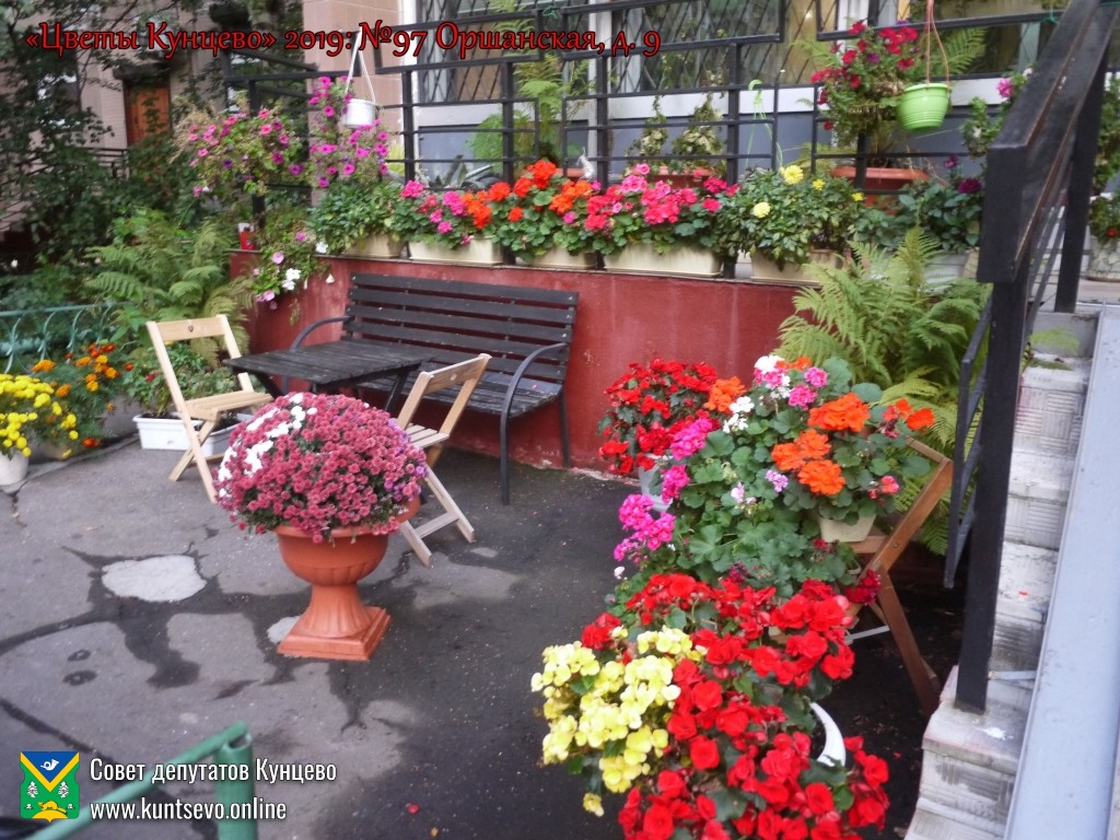 В Кунцево впервые прошёл конкурс палисадников "Цветы Кунцево" 22