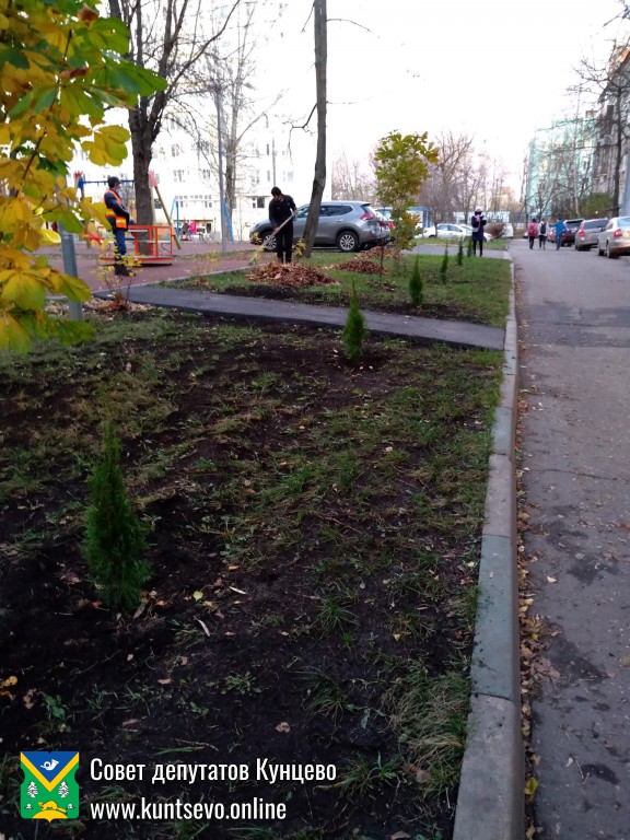 Провели посадки деревьев и кустарников в районе. 8