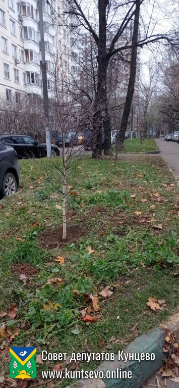 Провели посадки деревьев и кустарников в районе. 2